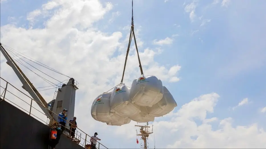 Gạo xuất khẩu bật tăng nhờ nhu cầu thị trường khởi sắc